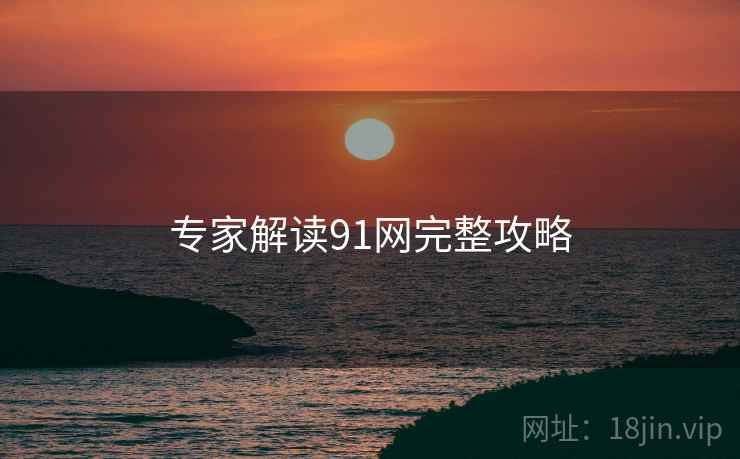 专家解读91网完整攻略