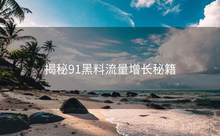 揭秘91黑料流量增长秘籍