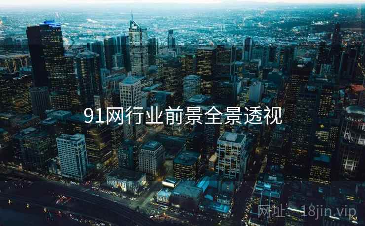 91网行业前景全景透视