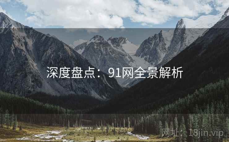 深度盘点：91网全景解析