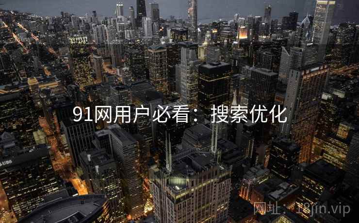 91网用户必看：搜索优化
