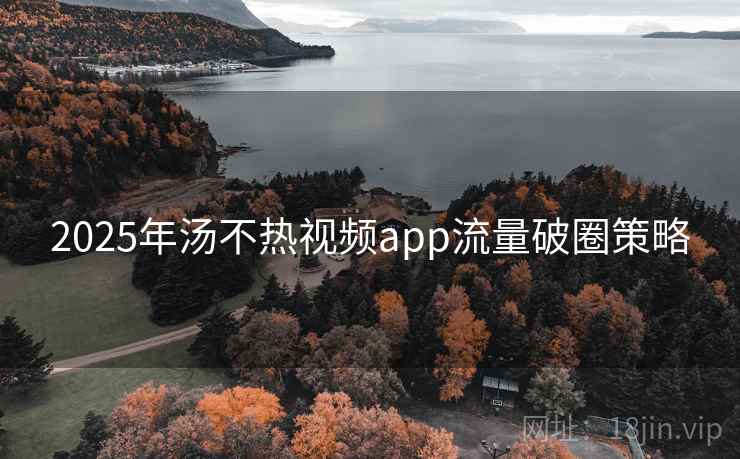 2025年汤不热视频app流量破圈策略