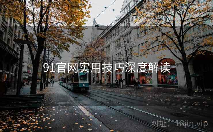 91官网实用技巧深度解读