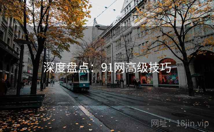深度盘点:91网高级技巧